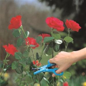 Ножницы садовые GARDENA для РОЗ 00359-20.000.00 в Екатеринбурге 