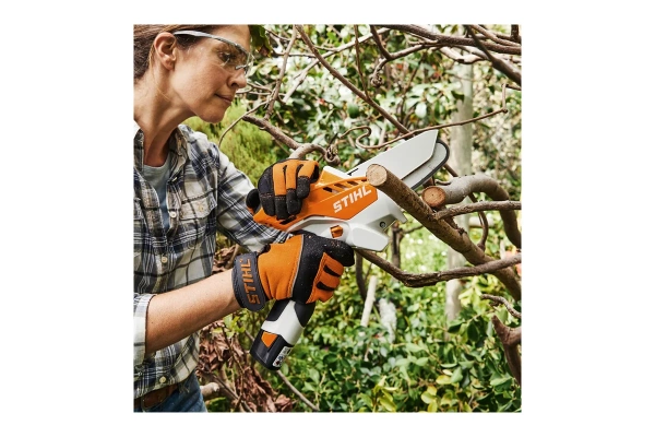Аккумуляторный сучкорез Stihl GTA 26 SET  AS 2 AL 1 GA01-011-6918 в Красноярске