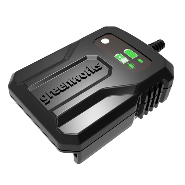 Зарядное устройство Greenworks 24В 2946207 в Екатеринбурге