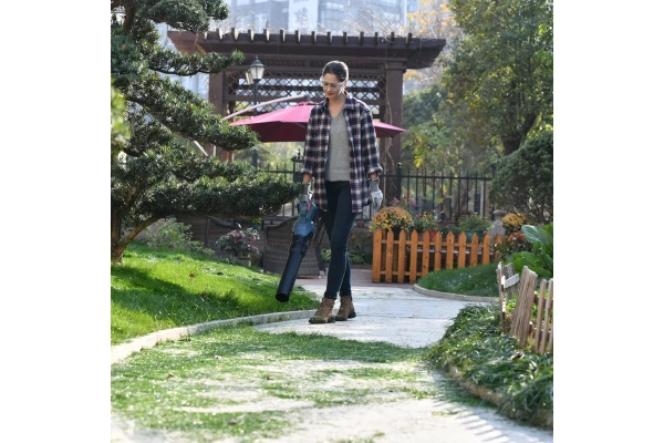 Воздуходувка аккумуляторная SENIX  BLAX6-M1-EU в Красноярске